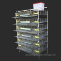 factory design layer quail cages for sale